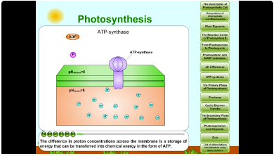 photosynthesis